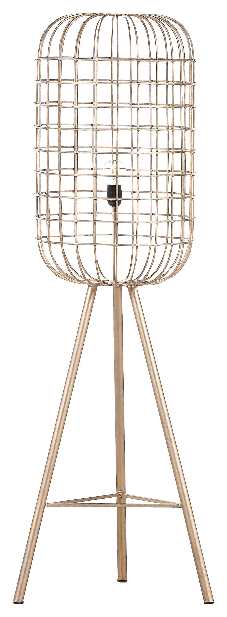 STEHLEUCHTE 41/144 cm    - Goldfarben, Trend, Metall (41/144cm)