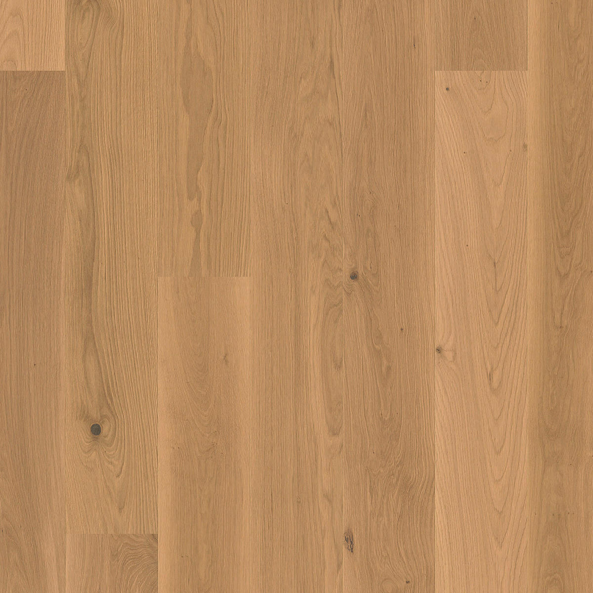 LANDHAUSDIELE, Puristico Trend Eiche Sahara Balance 100013801  per  m² - Eichefarben, Trend, Holz (220,5/17,6/1,3cm) - Tilo