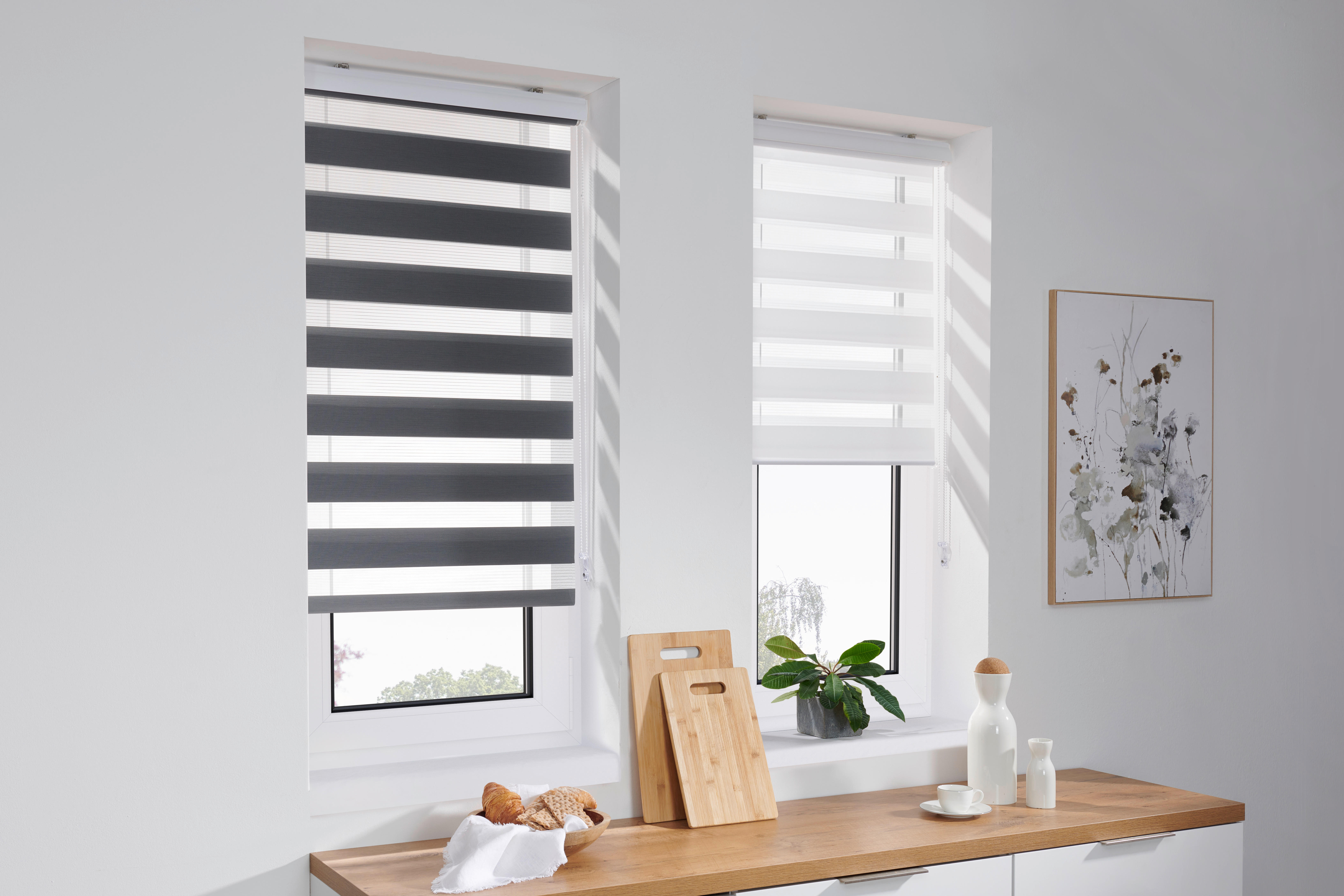 DOPPELROLLO  halbtransparent  60/160 cm    - Transparent/Grau, Basics, Textil (60/160cm) - Boxxx