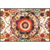 DVEŘNÍ ROHOŽKA, 50/75 cm vícebarevná - vícebarevná, Lifestyle, textil/plast (50/75cm)