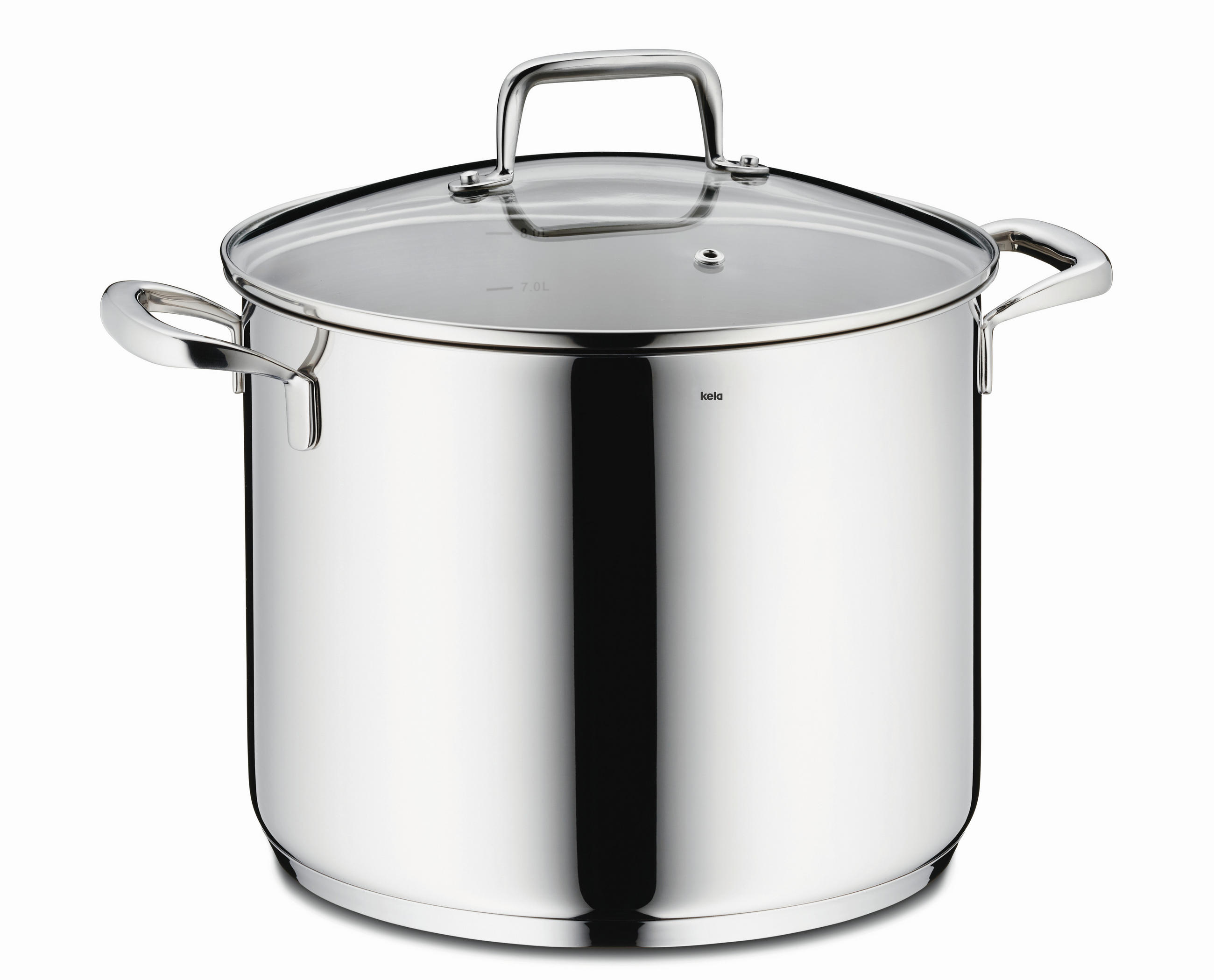 GEMÜSETOPF Flavoria 8 L  - Silberfarben, KONVENTIONELL, Glas/Metall (24/19.5cm) - Kela