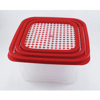 SET KUTIJA ZA HRANU     - prozirna/crvena, Osnovno, plastika (25,38/12,51/25,38cm)
