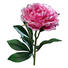 KUNSTBLUME - Pink/Grün, Basics, Kunststoff/Textil (63cm) KUNSTBLUME - Pink/Grün, Basics, Kunststoff/Textil (63cm)