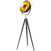 STEHLEUCHTE - Goldfarben/Schwarz, Trend, Metall (40/168cm)