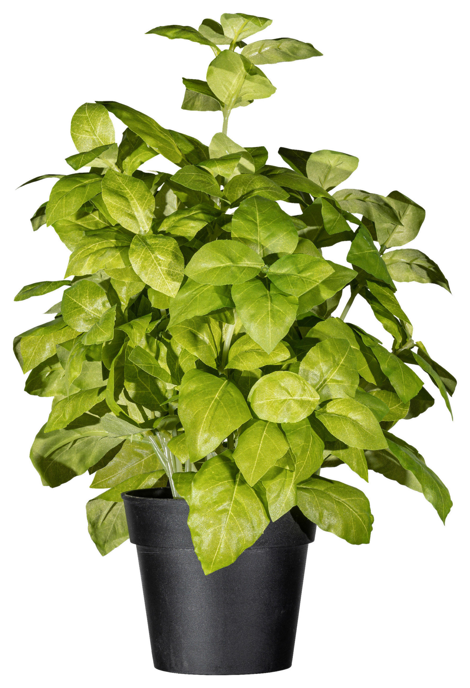 KUNSTPFLANZE Kräuter 30 cm  - Schwarz/Grün, Design, Kunststoff (30cm) - P & B