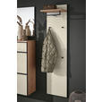 GARDEROBENPANEEL  in 42/170/27 cm  - Eichefarben/Sahara, Design, Glas/Holz (42/170/27cm) - Dieter Knoll