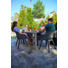 GARTENSESSEL - Hellgrau, Design, Kunststoff (56,7/80,1/55,2cm) - Ambia Garden GARTENSESSEL - Hellgrau, Design, Kunststoff (56,7/80,1/55,2cm) - Ambia Garden