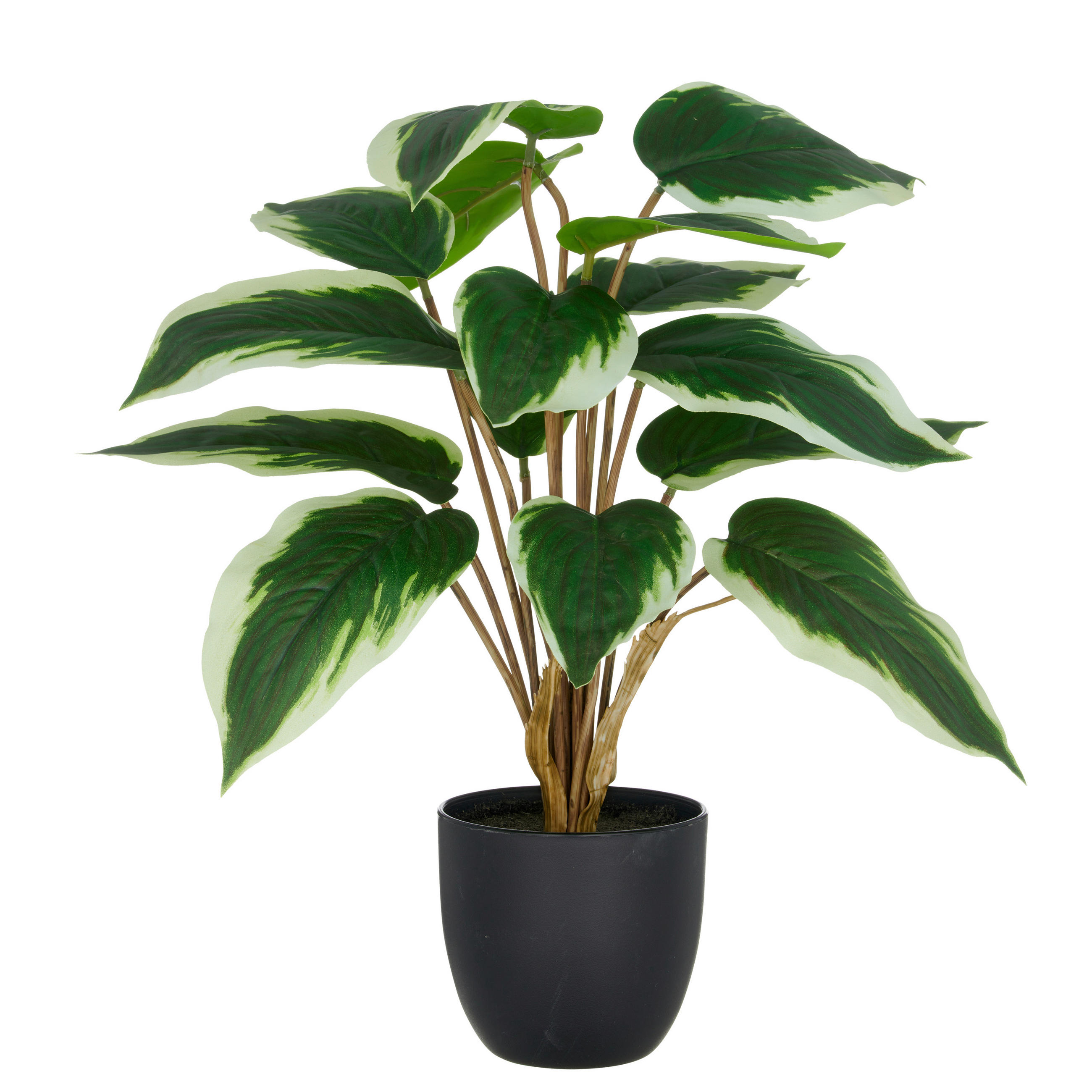 KUNSTPFLANZE 45 cm  - Schwarz/Weiß, Basics, Kunststoff (45cm) - P & B