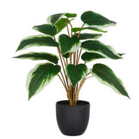 KUNSTPFLANZE 45 cm  - Schwarz/Weiß, Basics, Kunststoff (45cm) - P & B