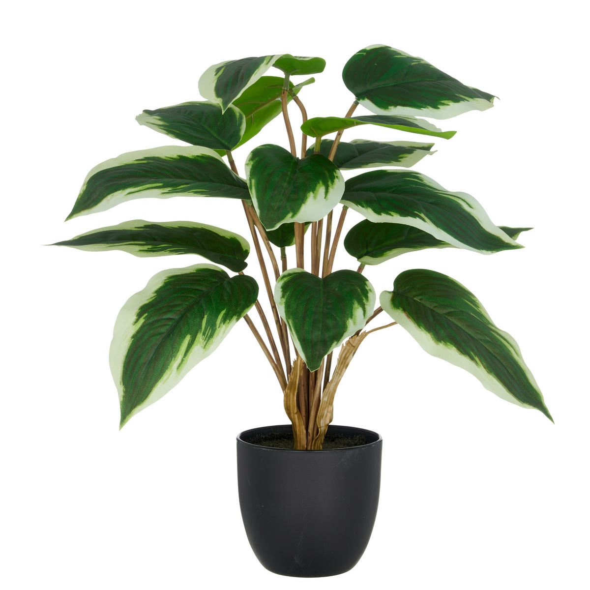 KUNSTPFLANZE 45 cm  - Schwarz/Weiß, Basics, Kunststoff (45cm) - P & B
