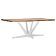 TISCHPLATTE      - Sheeshamfarben, Design, Holz (220/100/5cm) - Landscape