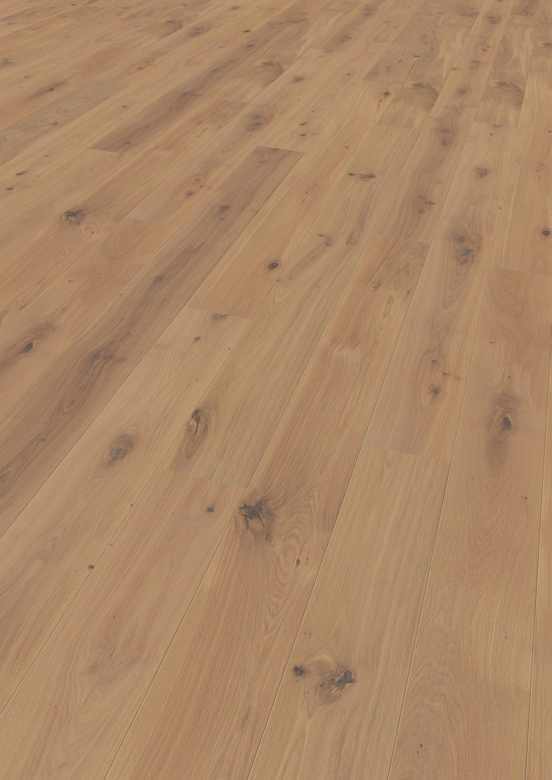 LANDHAUSDIELE Rustico Trend Eiche Champagne 100014901  per  m² - KONVENTIONELL, Holz (220,/17,6/1,3cm) - Tilo