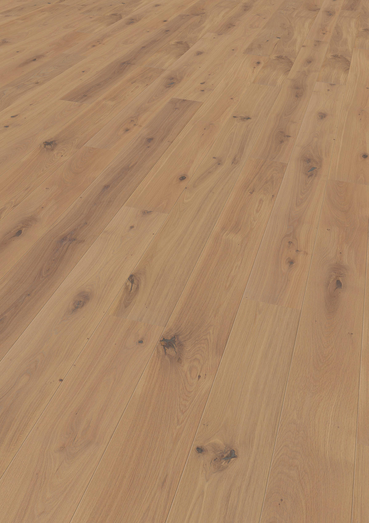 LANDHAUSDIELE Rustico Trend Eiche Champagne 100014901  per  m² - KONVENTIONELL, Holz (220,/17,6/1,3cm) - Tilo