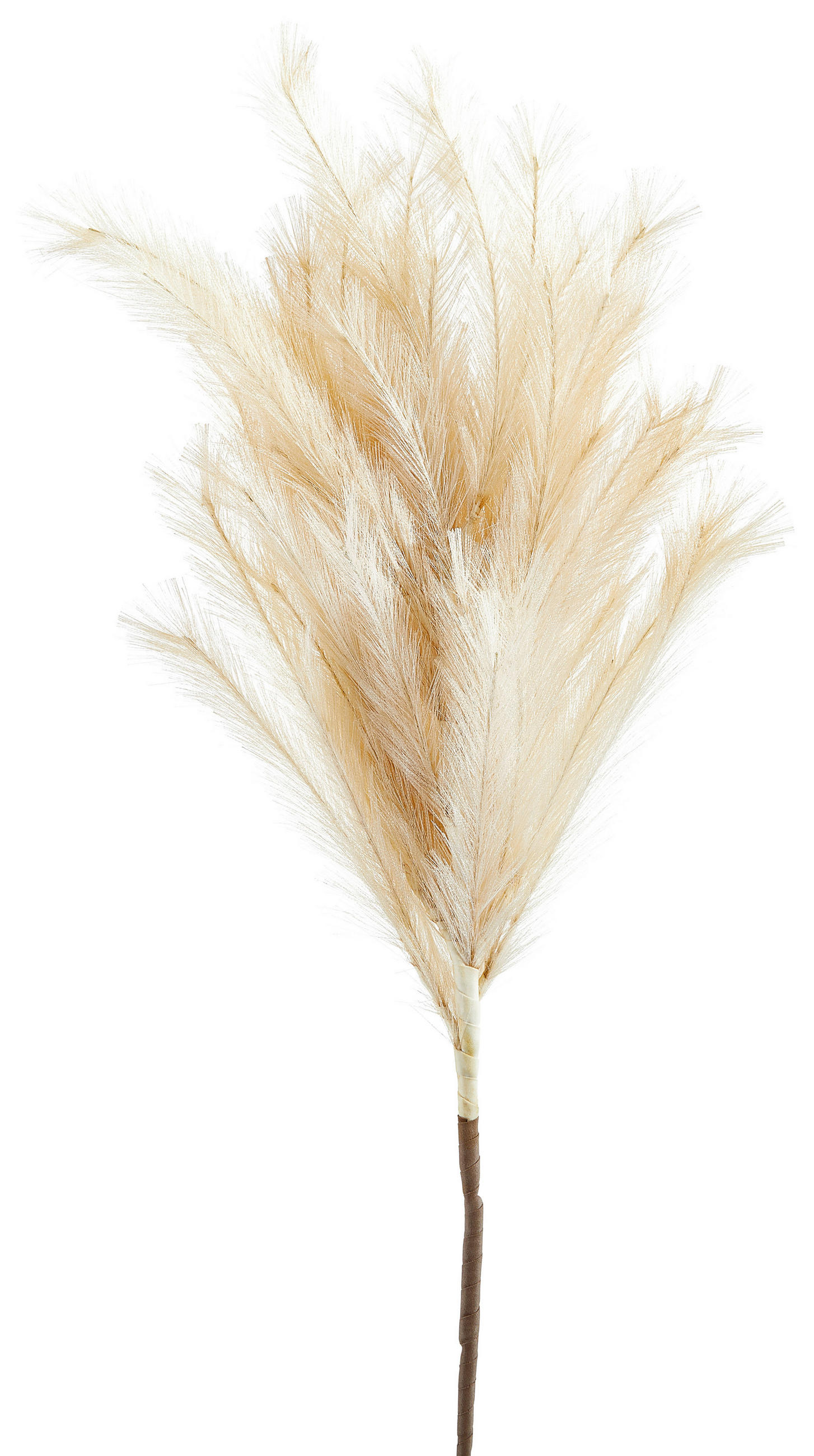 VEŠTAČKI CVET          120 cm    - svetlobraon/braon, Osnovno, metal/plastika (120cm) - Ambia Home