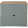 HÄNGESCHUHSCHRANK 100/84/37 cm  - Salbeigrün/Schwarz, Design, Holzwerkstoff/Metall (100/84/37cm) - Voleo