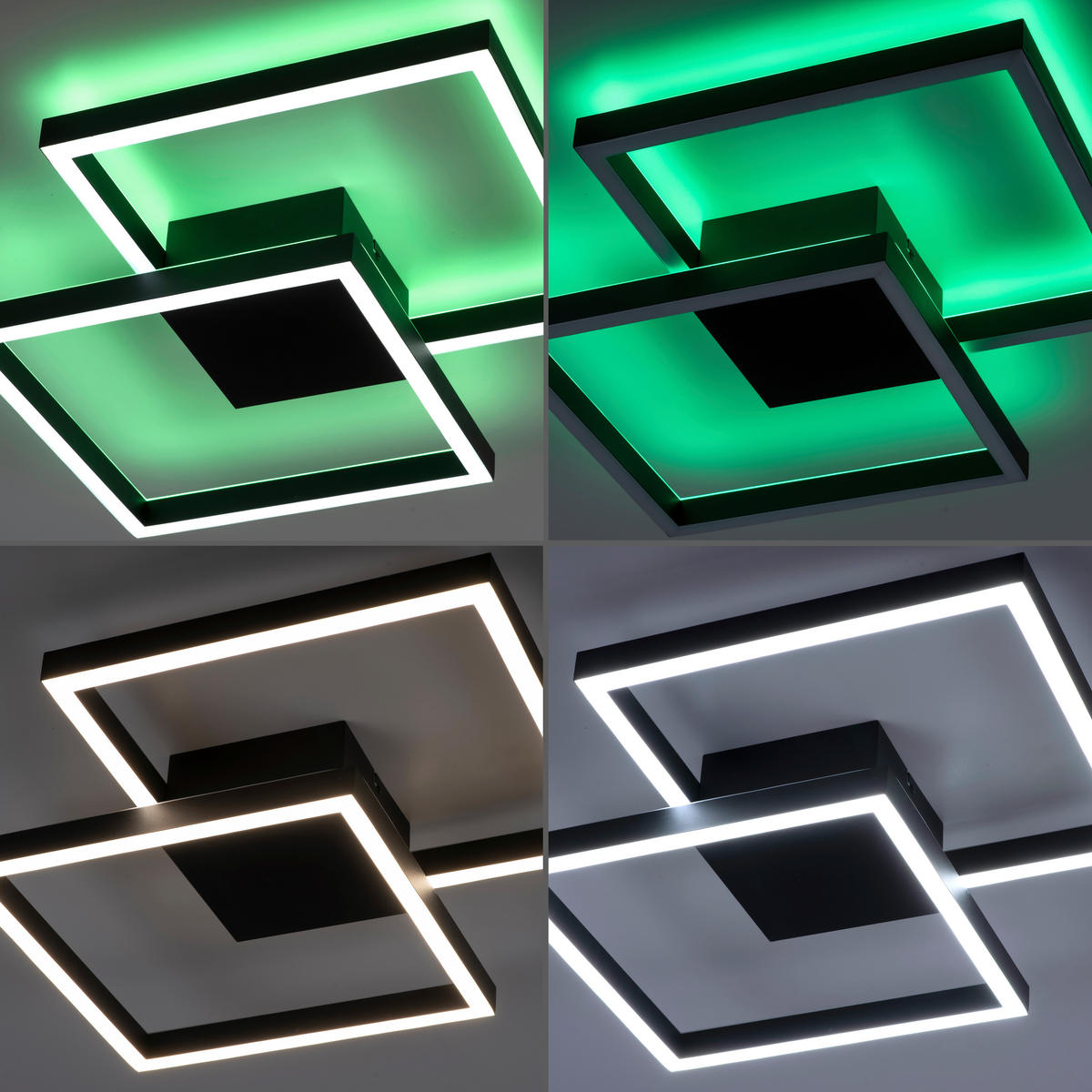 LED-DECKENLEUCHTE 52,5/52,5/9,5 cm    - Schwarz, Design, Kunststoff/Metall (52,5/52,5/9,5cm) - Paul Neuhaus