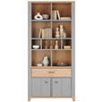 REGAL Grau, Eiche Artisan  - Graphitfarben/Eiche Artisan, Basics, Holzwerkstoff/Kunststoff (95/203/40cm) - Hom`in