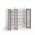 SCHUHSCHRANK  in 120/115/34 cm  - Kaschmir/Schwarz, Design, Glas/Holzwerkstoff (120/115/34cm) - Voleo