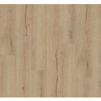 VINYLBODEN Vinyl Basic 5.3  per  m² - Eichefarben, Basics, Kunststoff (120.9/22.5/0.53cm) - Parador