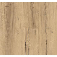 LAMINATBODEN Laminat Basic 400  per  m² - Eichefarben, Basics, Holzwerkstoff (128.5/19.4/0.8cm) - Parador