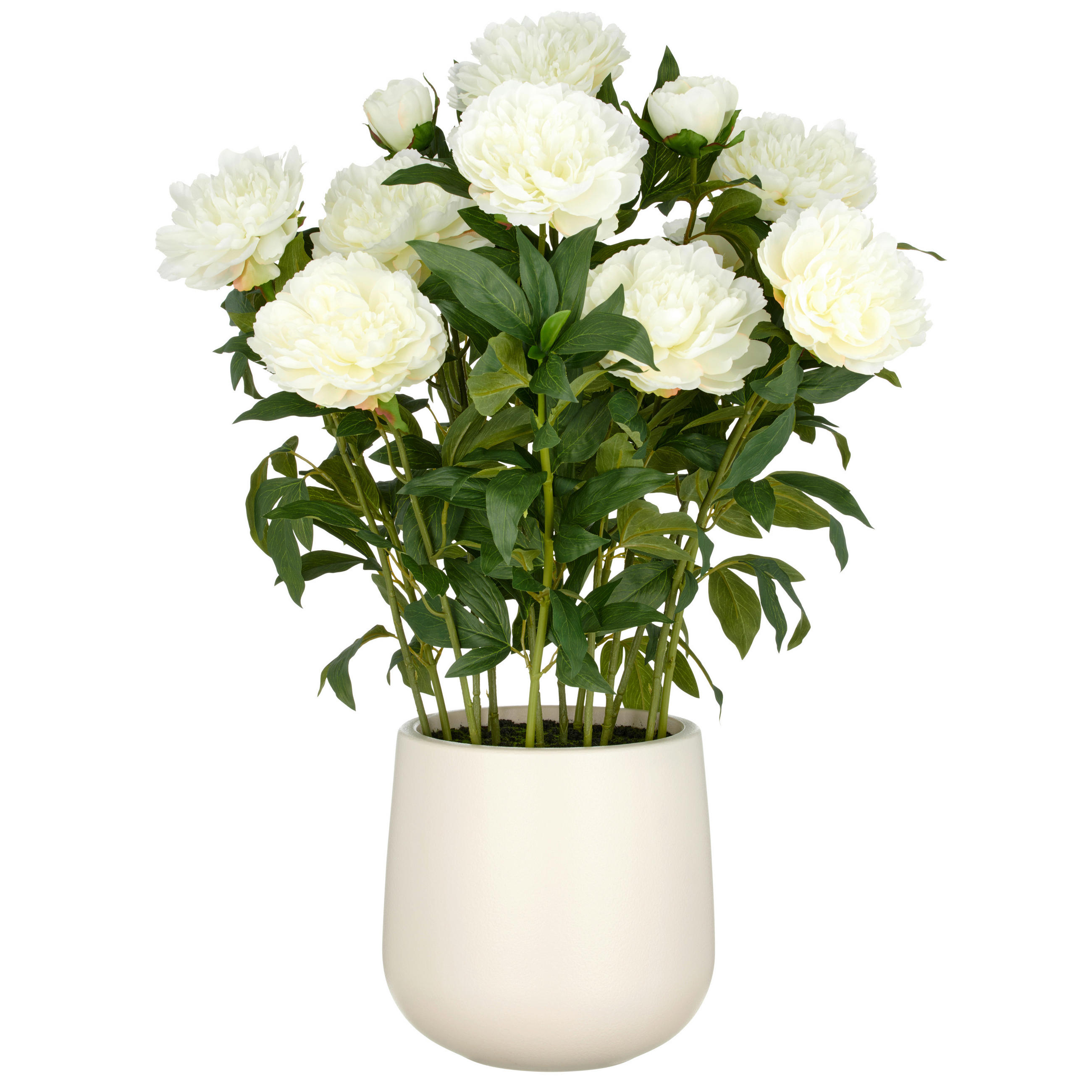 KUNSTPFLANZE  - Creme/Grün, Basics, Kunststoff (26/80/26cm)