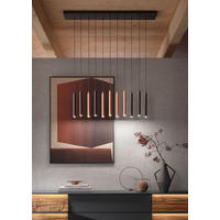 LED-HÄNGELEUCHTE Musterring 115/15/150 cm   - Schwarz/Weiß, Design, Kunststoff/Metall (115/15/150cm) - Musterring