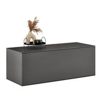 NÍZKA KOMODA, antracitová, 121/44/50 cm - antracitová, Design, kompozitné drevo (121/44/50cm) - Dieter Knoll