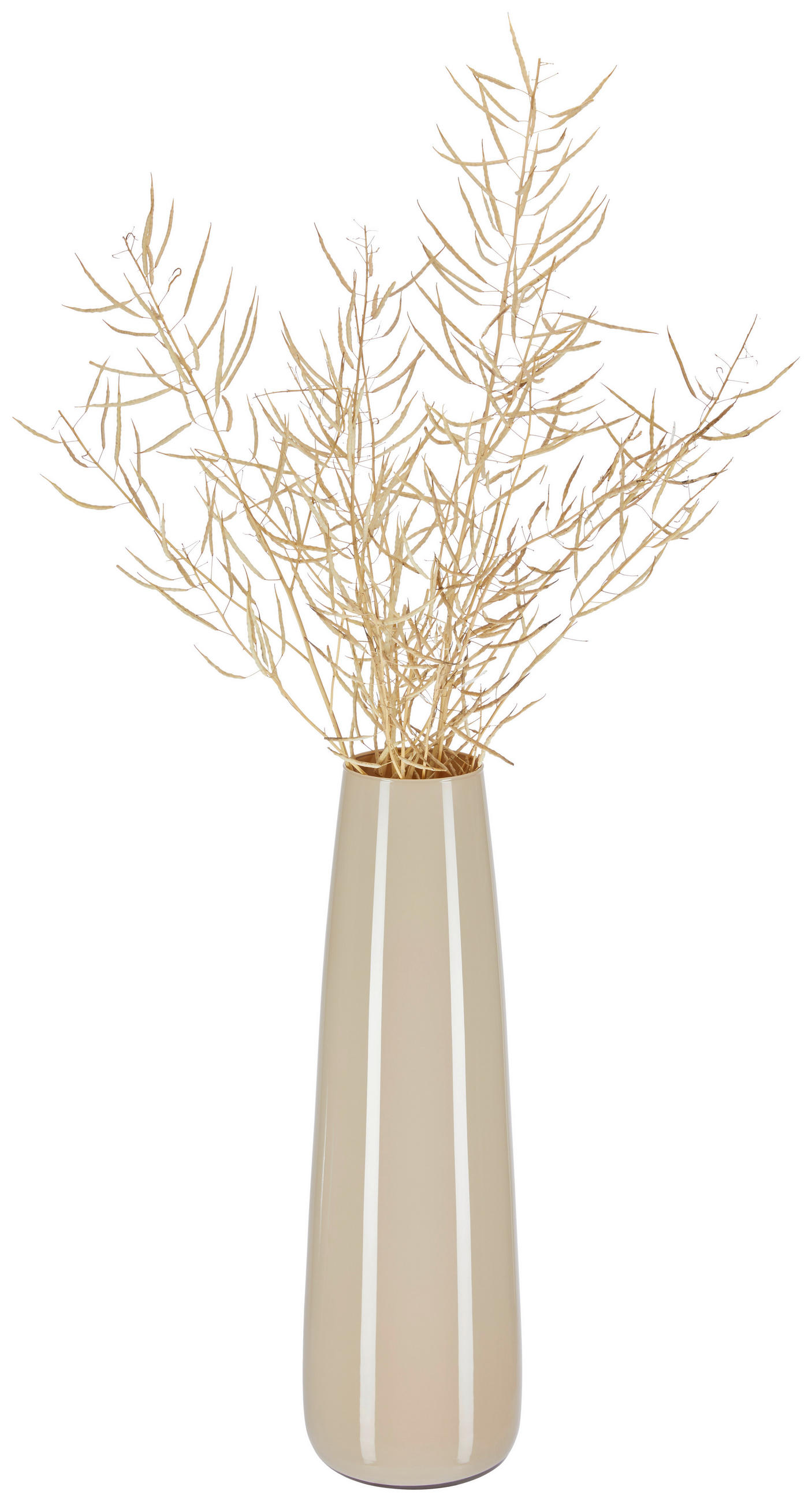 VAZA  18/60 cm    staklo  - bež, Osnovno, staklo (18/60cm) - Ambia Home