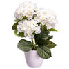 KUNSTPFLANZE Hortensie 32 cm  - Weiß/Grün, Design, Kunststoff (32cm) - P & B