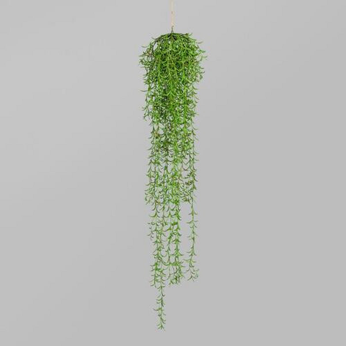 KUNSTPFLANZE 110 cm  - Grün, Basics, Kunststoff (110cm) - P & B