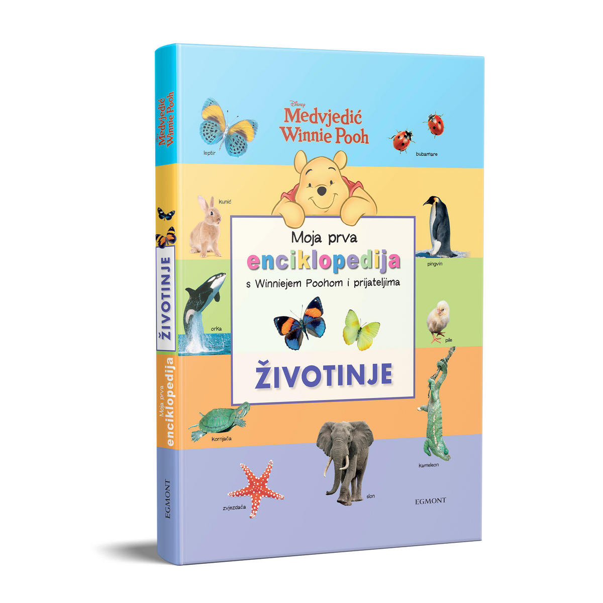 SLIKOVNICA  WINNIE THE POOH  - višebojno, Basics, papir
