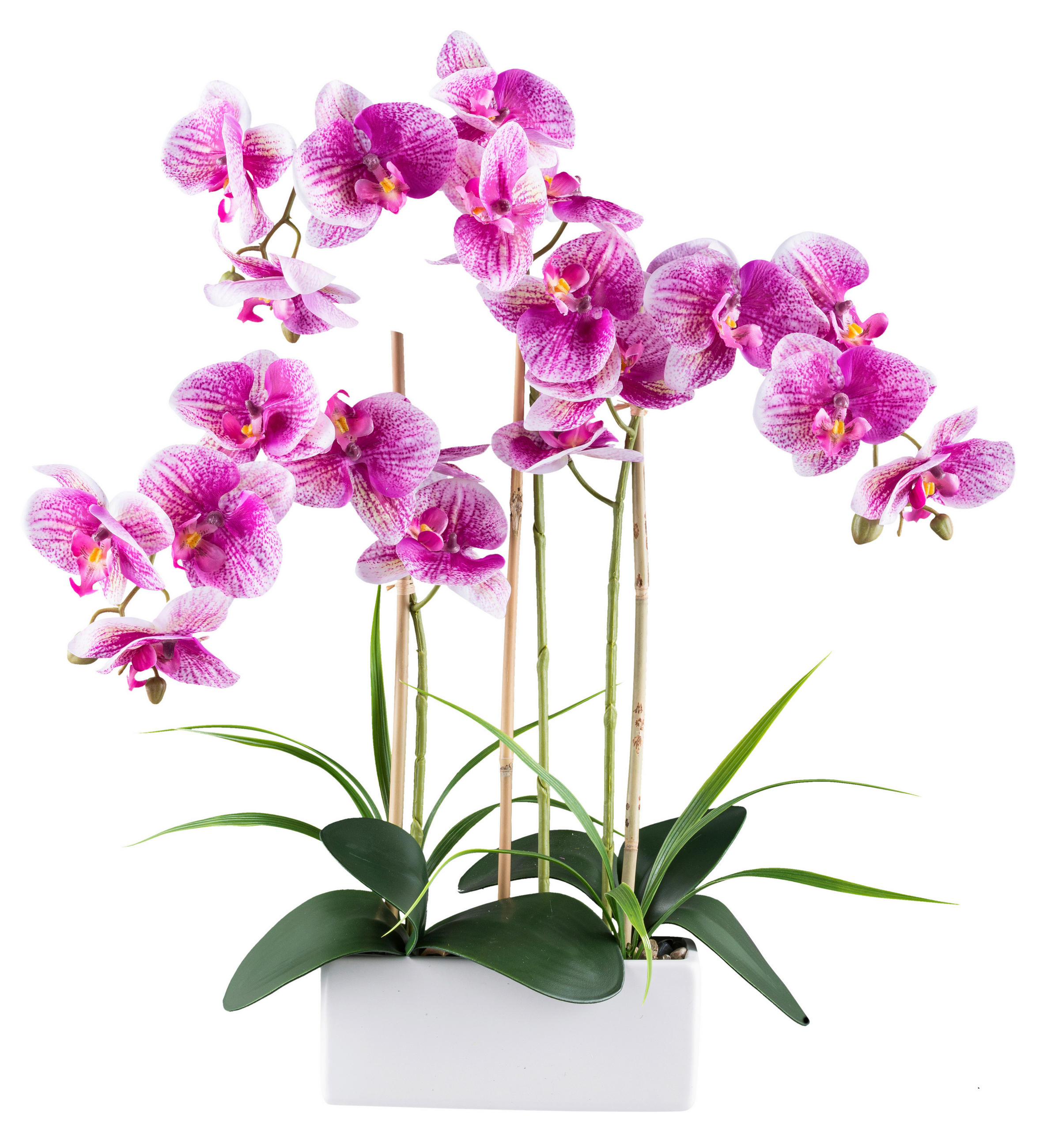 KUNSTPFLANZE Orchidee 58 cm  - Pink/Weiß, Design, Keramik/Kunststoff (58cm) - P & B