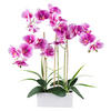 KUNSTPFLANZE Orchidee 58 cm  - Pink/Weiß, Design, Keramik/Kunststoff (58cm) - P & B