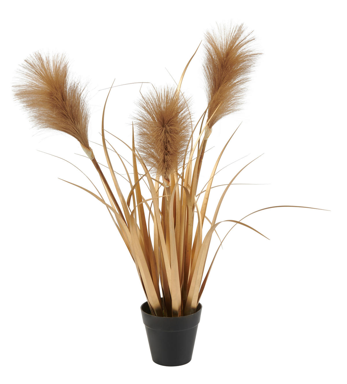 TRSTJE - zlate barve/črna, Trend, kovina/umetna masa (55cm) - Ambia Home