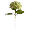 HORTENSIE  - Weiß/Grün, Natur (60cm)