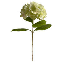 HORTENSIE  - Weiß/Grün, Natur (60cm)