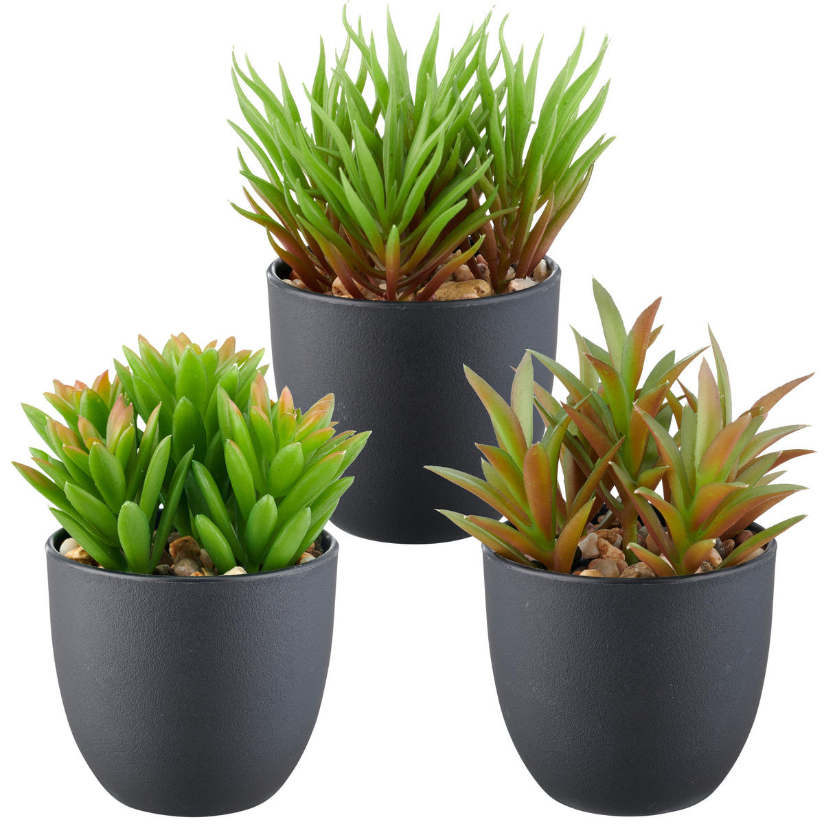 SUKKULENTE Sukkulente 13 cm  - Schwarz/Grün, Basics, Kunststoff (13cm) - P & B