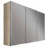 SCHWEBETÜRENSCHRANK in Sonoma Eiche - Alufarben/Sonoma Eiche, Design, Glas/Holzwerkstoff (300/216/68cm) - Hom`in SCHWEBETÜRENSCHRANK in Sonoma Eiche - Alufarben/Sonoma Eiche, Design, Glas/Holzwerkstoff (300/216/68cm) - Hom`in