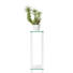 BLUMENTISCH Glas - Klar/Weiß, Design, Glas/Holzwerkstoff (25/80/25cm) - Carryhome