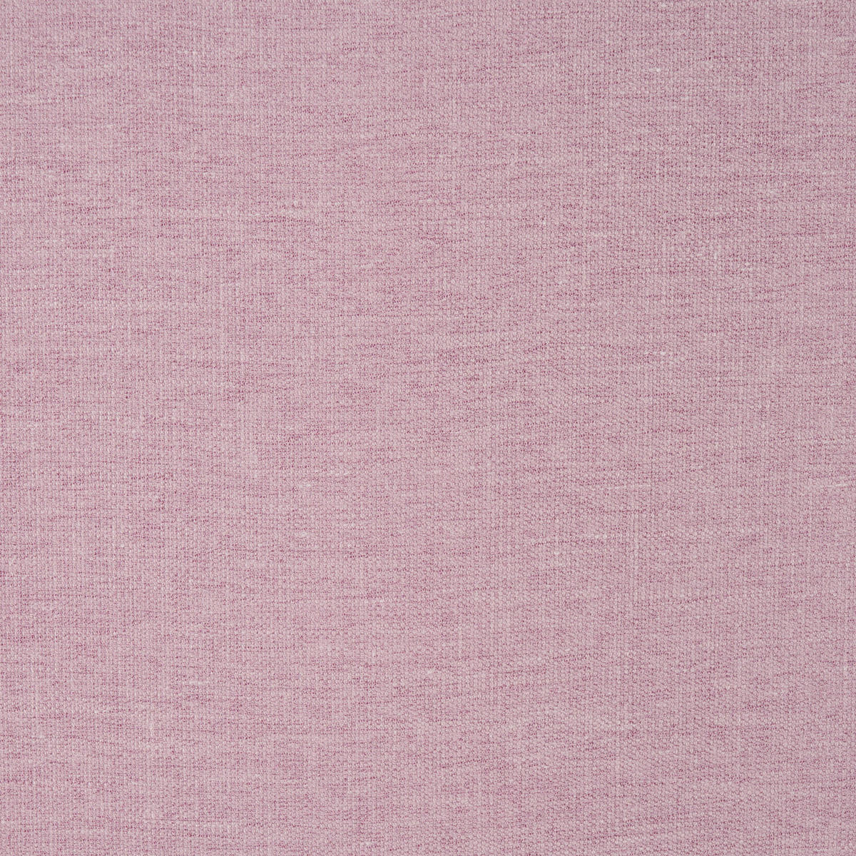 VORHANGSTOFF per lfm blickdicht  - Violett, Basics, Textil (148cm) - Esposa