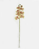 MŰNÖVÉNY - zsályazöld/többszínű, Basics, műanyag