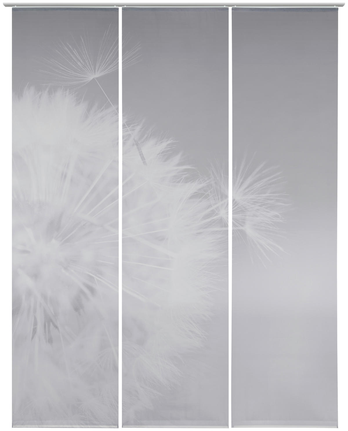 FLÄCHENVORHANG  3 Stück  halbtransparent  60/245 cm   - Anthrazit, Basics, Textil (60/245cm) - Novel