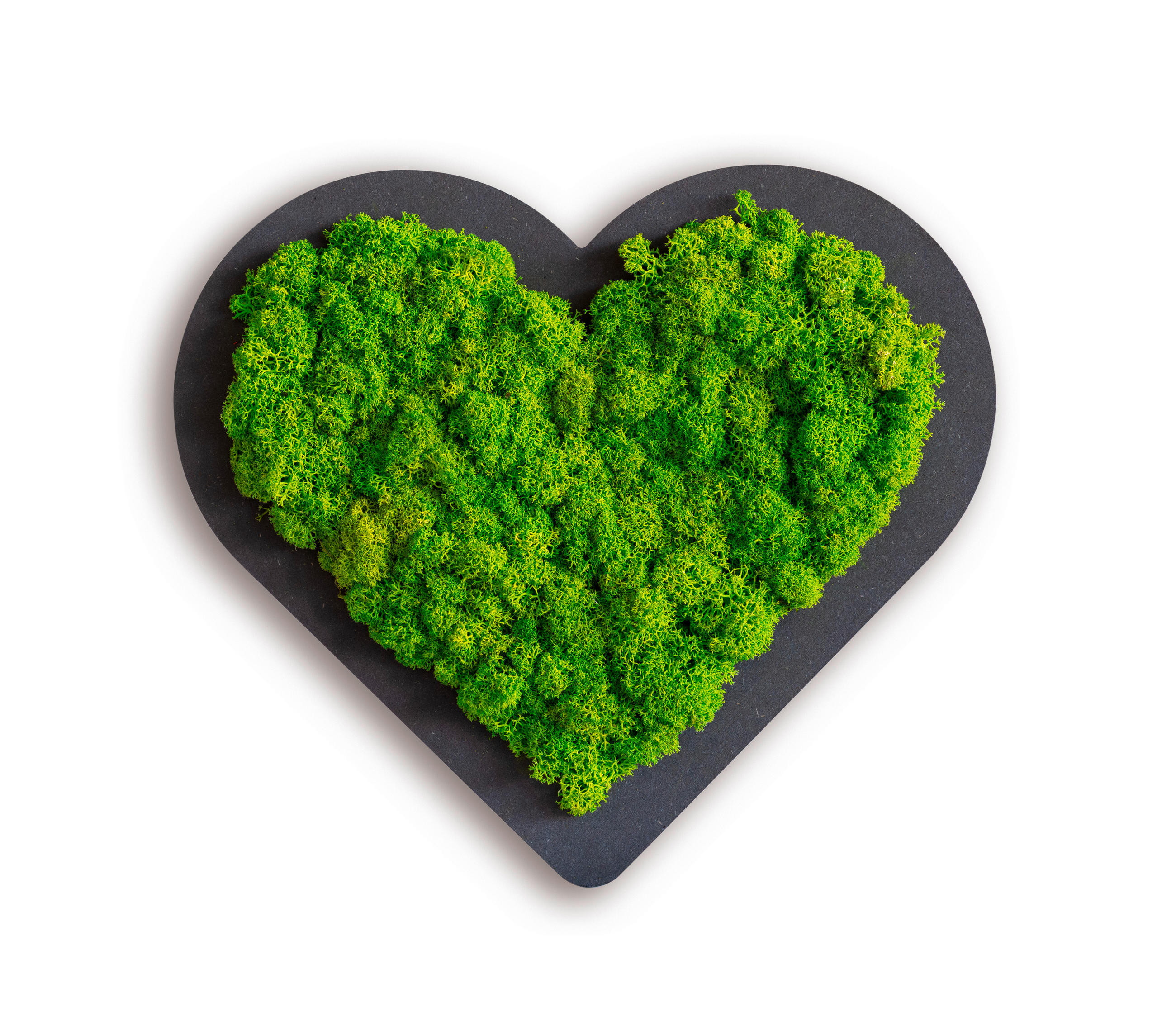 StyleGREEN MECHOVÝ OBRAZ