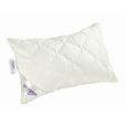 KOPFPOLSTER 40/60 cm   - Weiß, Basics, Textil (40/60cm) - Sleeptex