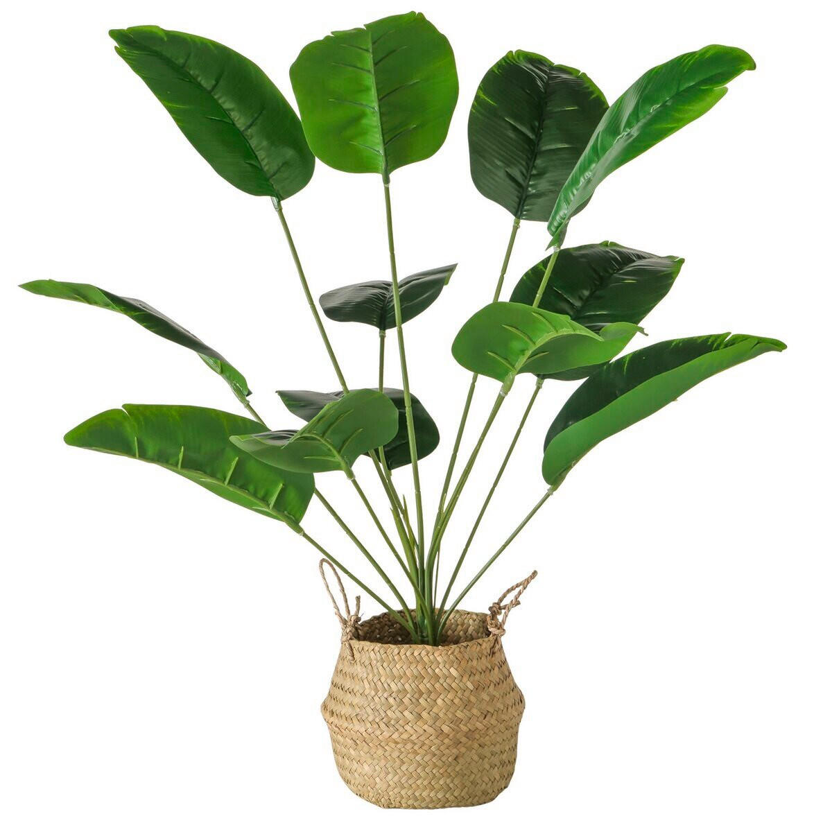 UKRASNA BILJKA - zelena/prirodna boja, Osnovno, kamen/plastika (35/35/68cm) - Boltze Home