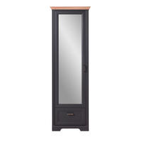 GARDEROBENSCHRANK  in 65/204/41 cm  - Eichefarben/Graphitfarben, ROMANTIK / LANDHAUS, Glas/Holzwerkstoff (65/204/41cm) - Landscape