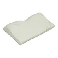 PÁRNA   - Basics (50/6-12/32cm) - Sleeptex