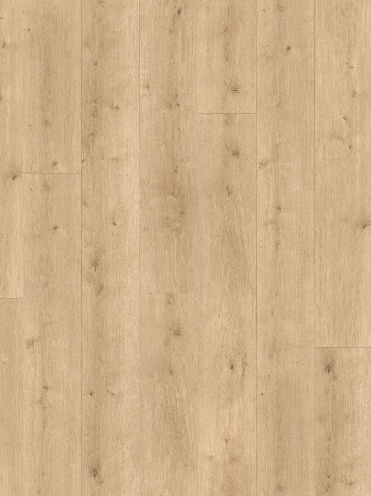 DESIGNBODEN Modular ONE  per  m² - Eichefarben, Design, Holz (220/23.5/0,8cm) - Parador