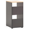 MEHRZWECKSCHRANK 45,1/95,8/60 cm  in Eichefarben, Anthrazit  - Eichefarben/Anthrazit, MODERN, Holzwerkstoff/Kunststoff (45,1/95,8/60cm) - MID.YOU