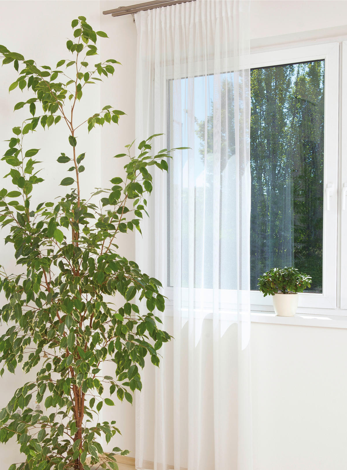 Perdea Confecționată transparent  - alb, Basics, textil (140/290cm)